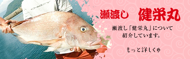 瀬渡し「健栄丸」についてはこちら